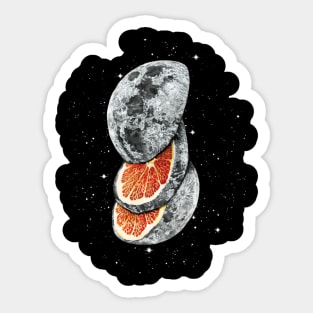 Lunar Fruit Sticker